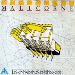 Malicorne : Les Cathédrales de l'Industrie